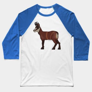 Shiva Lingam Chamois Baseball T-Shirt